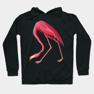 American Pink Flamingo Colorful Flamingo Bird Vintage Illustration Hoodie